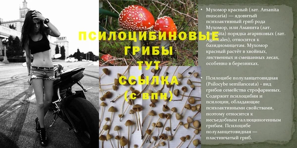амф Абинск