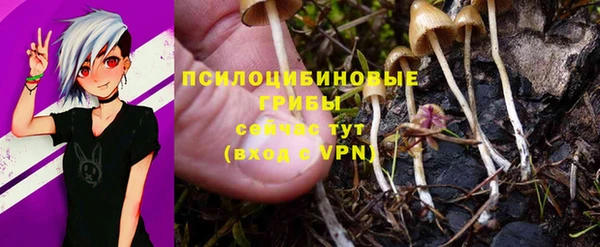 амф Абинск