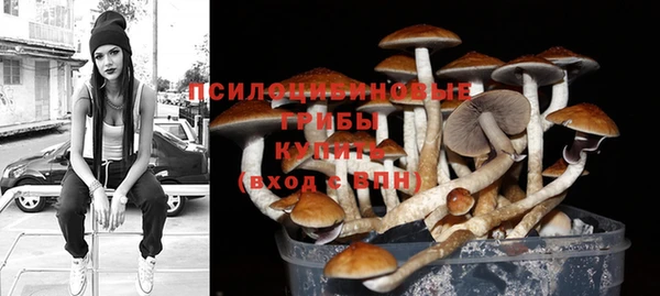 амф Абдулино