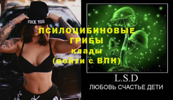 амф Абинск