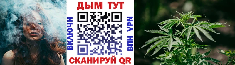 где продают   Хабаровск  Бошки Шишки гибрид 